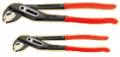 zabki_x2